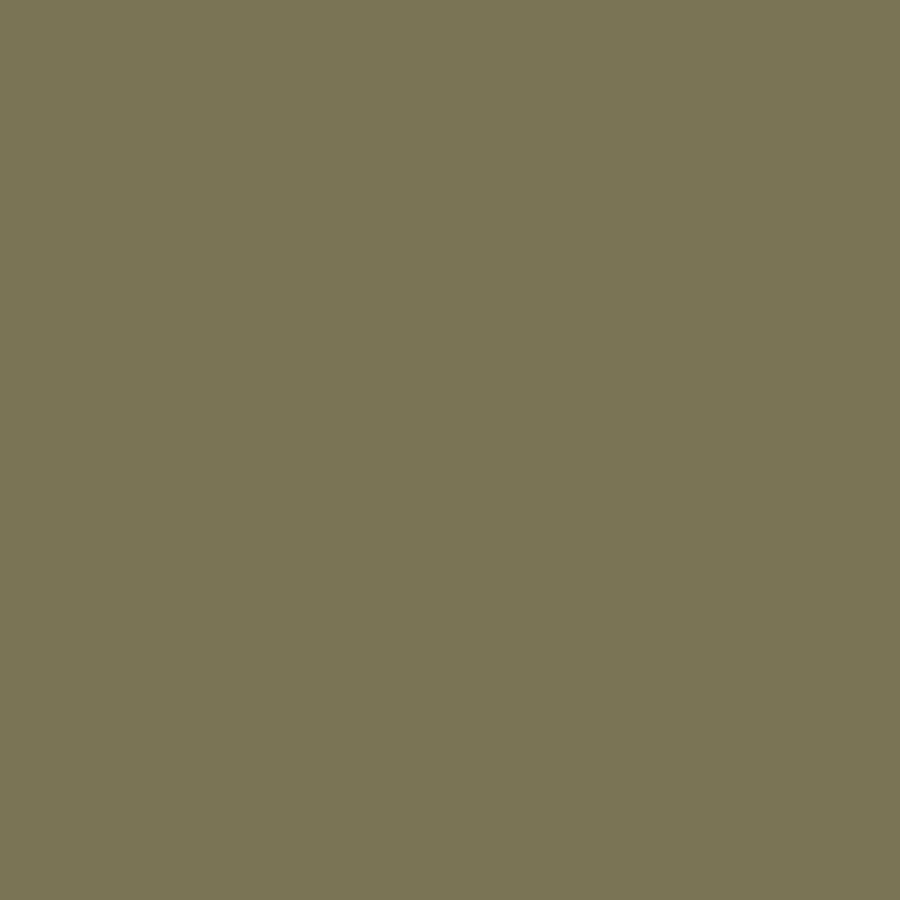 Garden Pot Paint - Olive