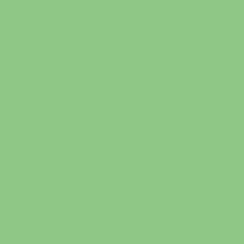 Colour Card - Apple Mint