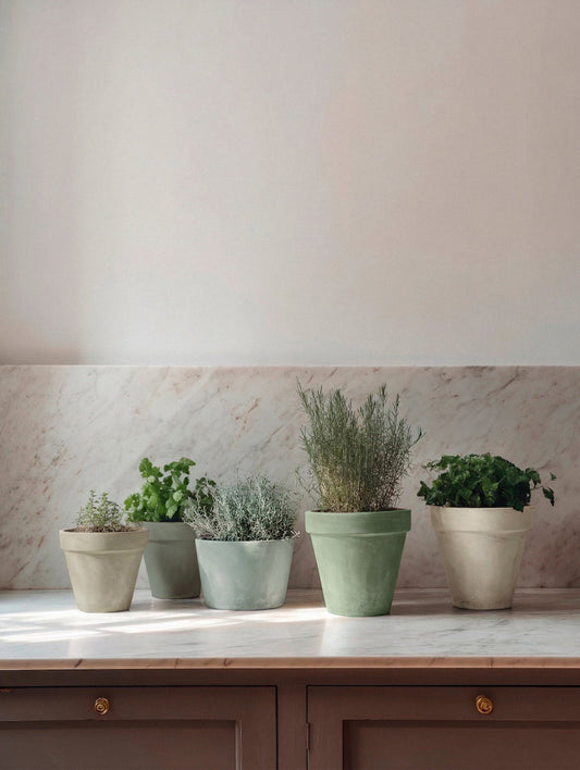Collection of limewashed garden pots in soft green and neutral tones planted with herbs on a kitchen countertop. | © Bauwerk Imagined, Christoph Neumann