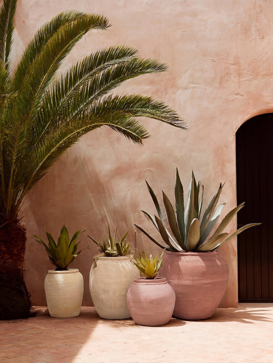 Mediterranean-style courtyard with a large palm and succulents in limewashed garden planters painted in the warm neutral and terracotta tones of the Mediterranean Courtyard collection. | © Bauwerk Imagined, Christoph Neumann